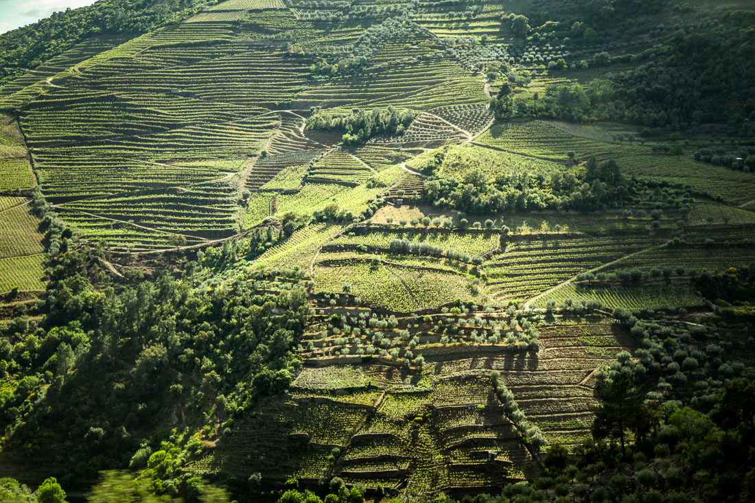 Douro Exclusive Best wine tour Douro Valley