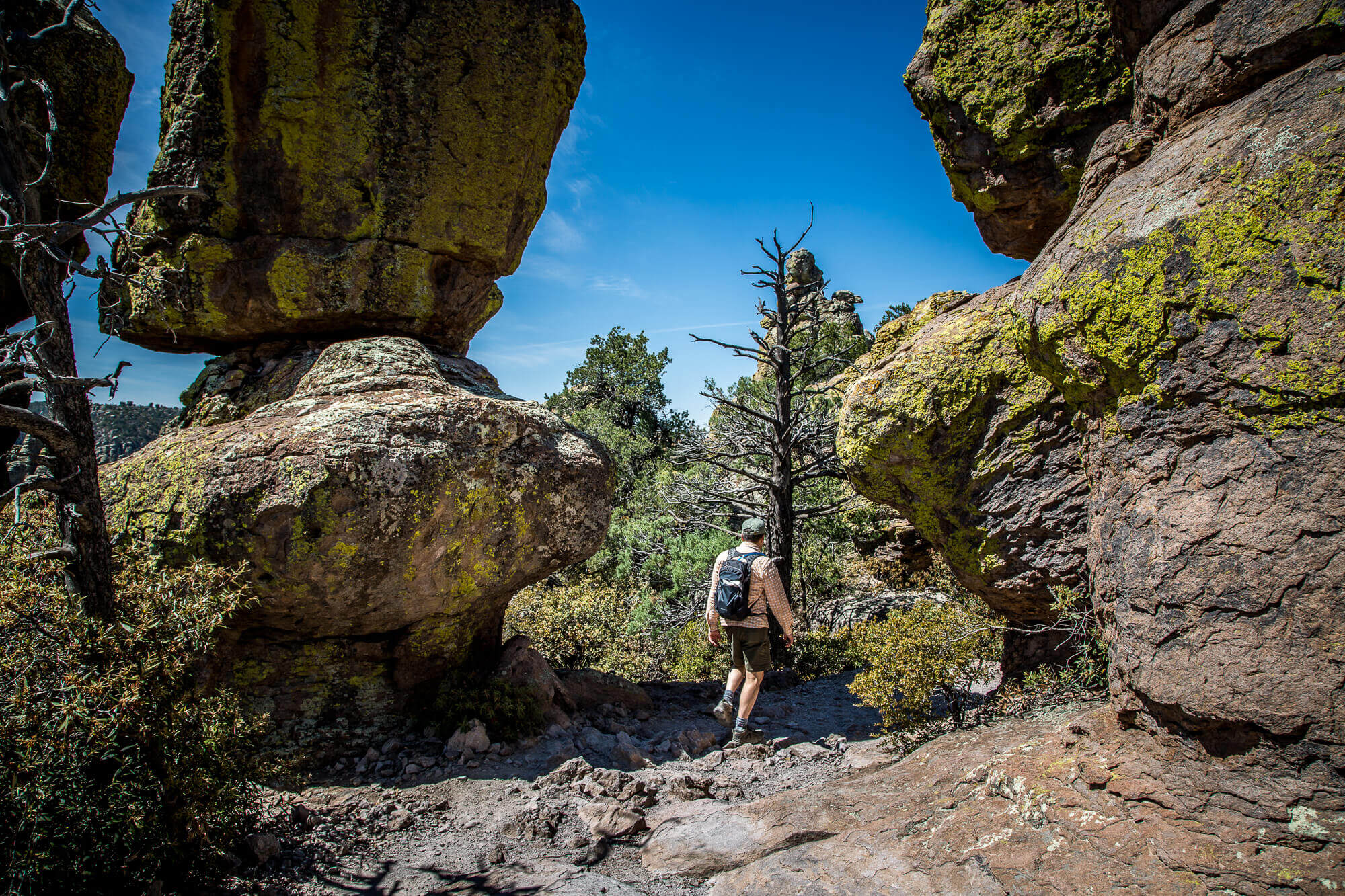 Trail in Chiricahua National Monument
