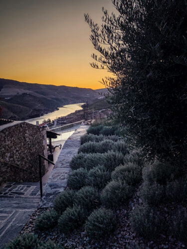 morning garden Vila Galé Douro