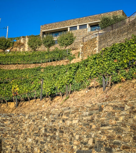 terraced rooms Vila Galé Douro