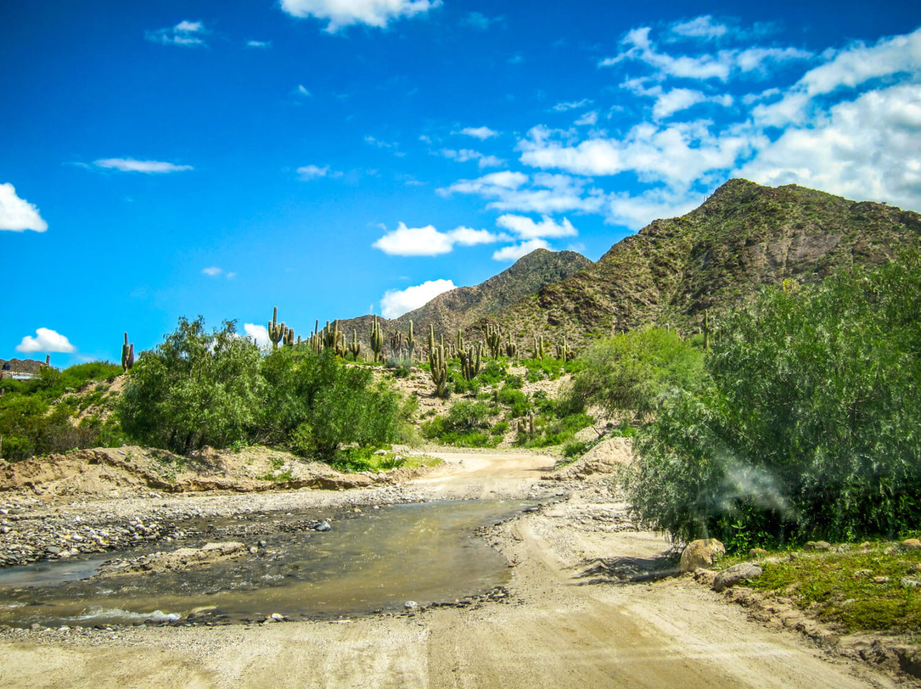 driving thru river salta