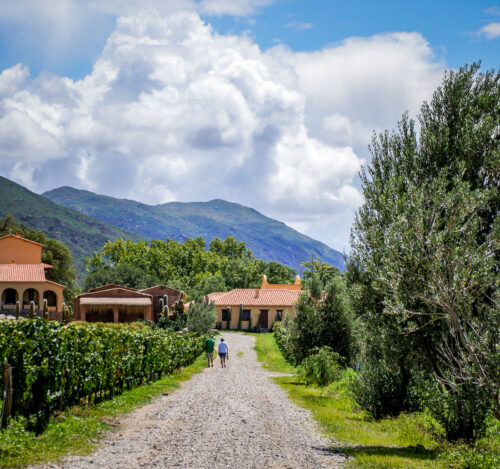 Bodega Colomé path