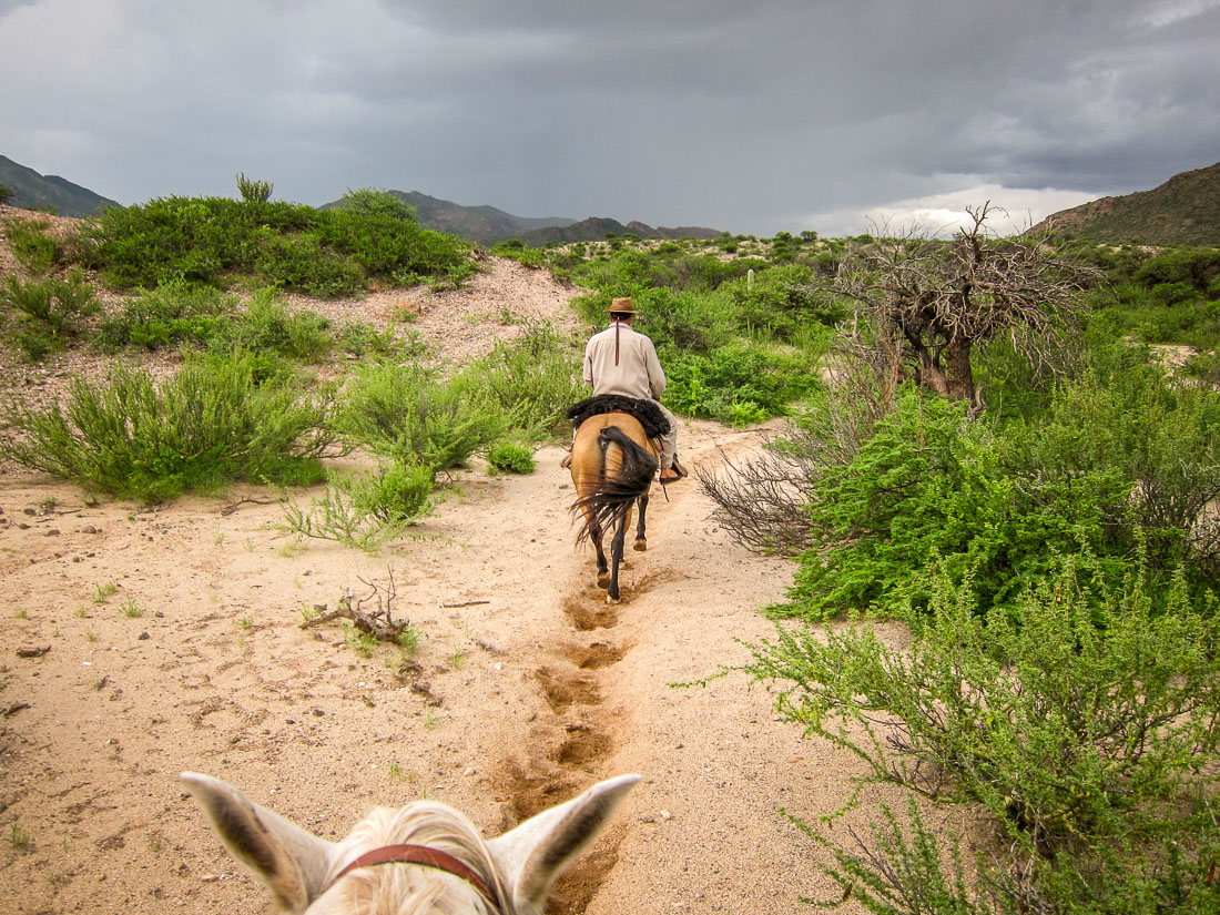 Horseback riding Estancia Colomé