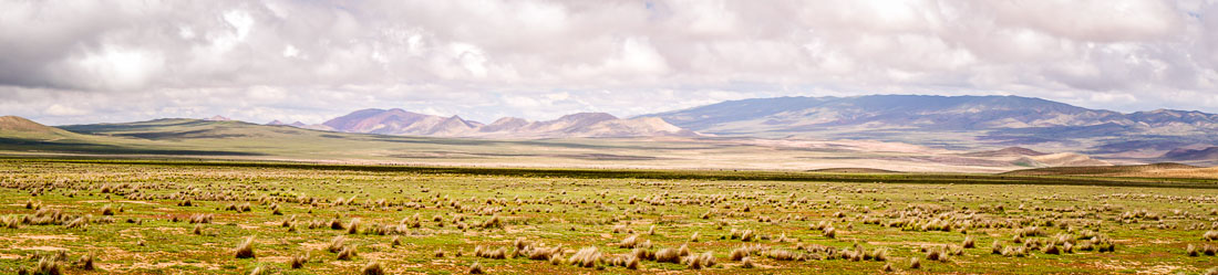 Salta Altiplano panorama 