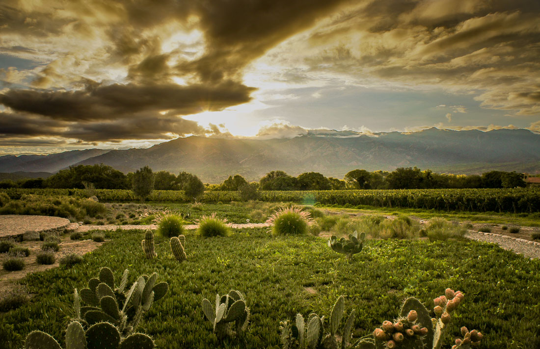 Estancia Colomé Hotel sunset