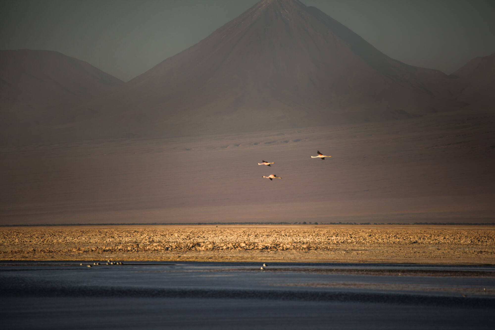 flamingos and volcanoes in Salar de Atacama