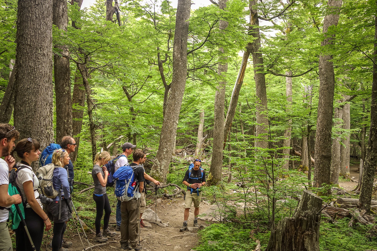Tierra Patagonia guide in lenga forest Torres del Paine