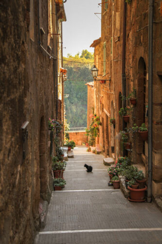 Pitigliano alley with cat