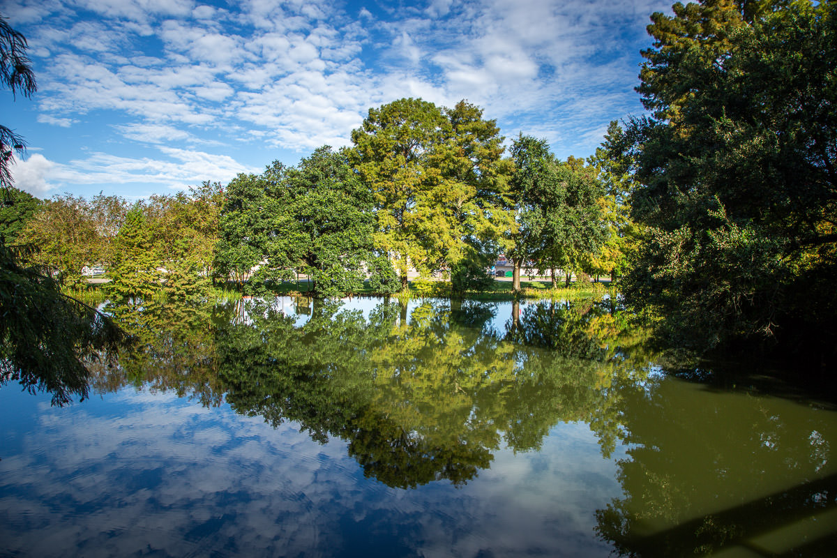 Lafayette Visitors Center Louisiana pond reflections