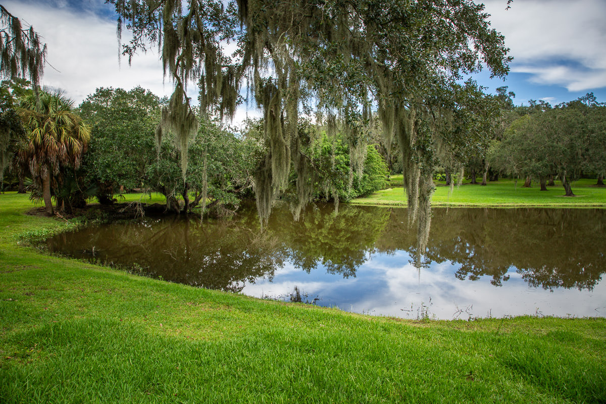 Avery Island pond