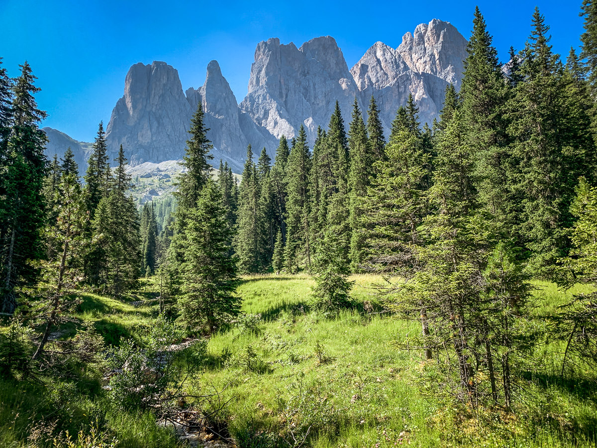 view of mountains along Adolf Munkel Trail