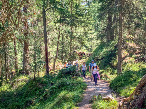 walking through trees Adolf Munkel Trail