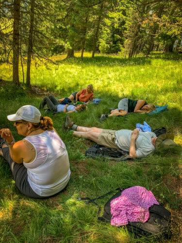 siesta in shade Geisleralm