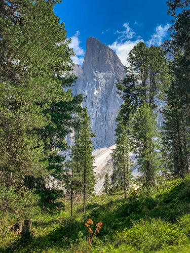 scenic view Adolf Munkel Trail