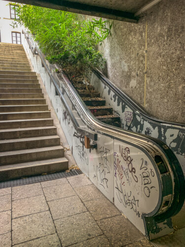 MaxmilliansForum escalator trees