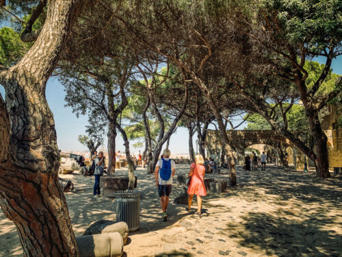 Castelo de São Jorge tree plaza