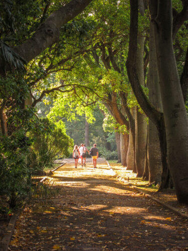 Jardim Botânico Tropical lisbon