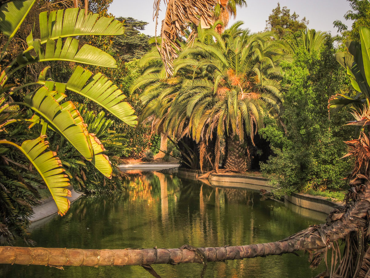 Jardim Botânico Tropical ponds