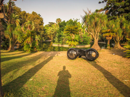 Jardim Botânico Tropical sculpture