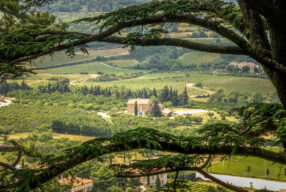 GREAT PLACES TO GO IN THE LUBERON IN PROVENCE