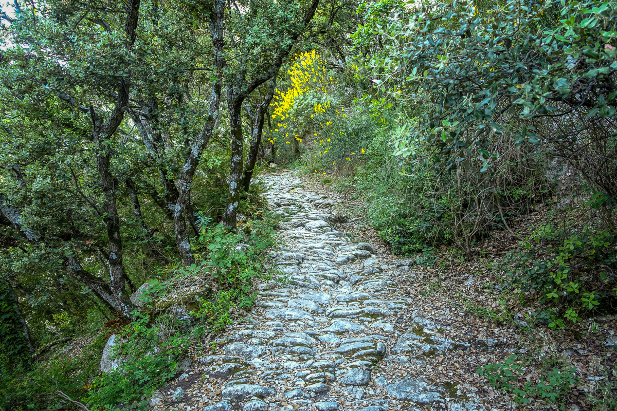 Roman path Vallon de l'Aigue Brun