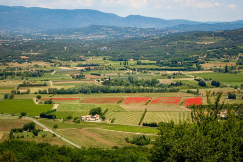 view from Lacoste Provence