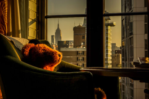 The Bowery Hotel bear in the morning