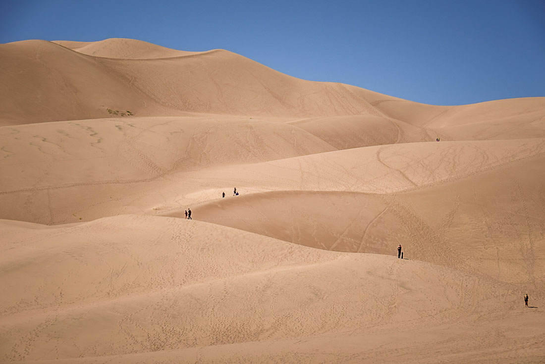 waves of dunes Great Sand Dunes National Park