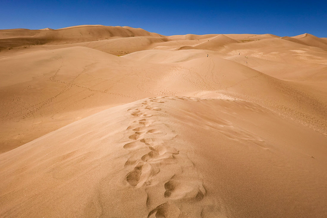 footsteps Great Sand Dunes National Park