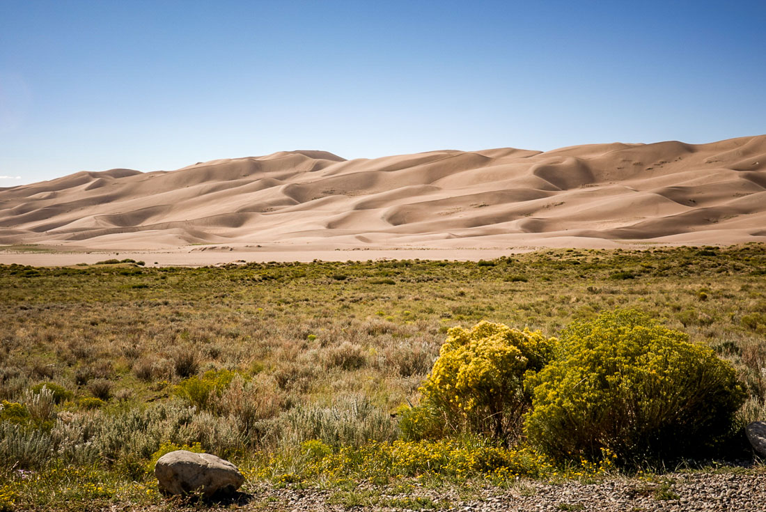 Great Sand Dunes National Park scrub