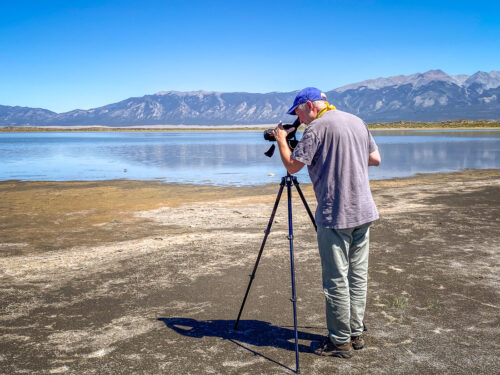 Bird watching Great Sand Dunes National Park