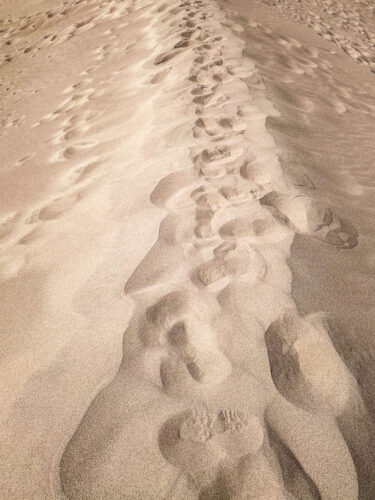 footsteps in sand Great Sand Dunes National Park