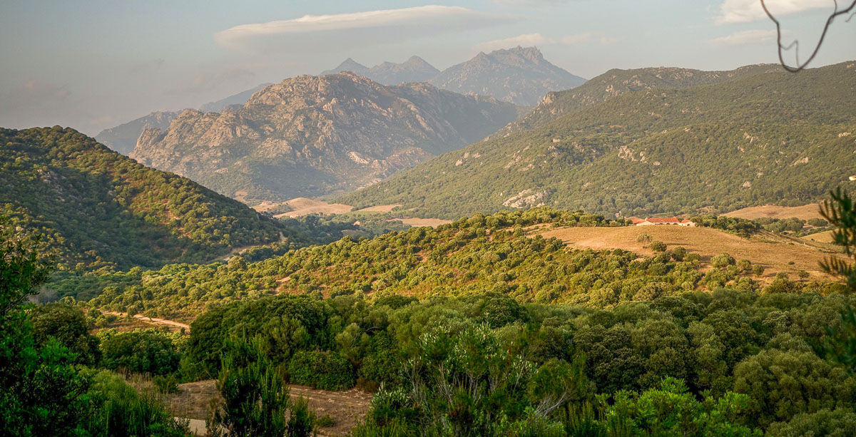 Domaine de Murtoli valley view